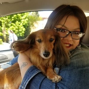 Meet your Posher, Erina